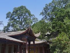 -华清宫景区