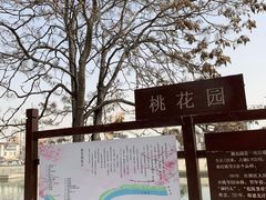 -桃花堤公园
