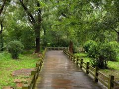 -长春市南湖公园