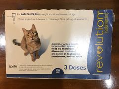 -纳吉亚猫专科动物诊疗中心(蒋宅口分院)