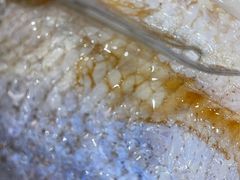 清蒸白水鱼-淮扬韵.淮扬味道