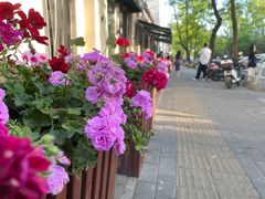 -婕妮璐超市 Jenny Lou’s Shop(三里屯店)