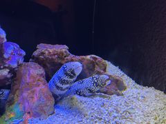 -上海海洋水族馆