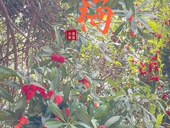 -宝岩生态观光园