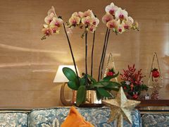 -青岛香格里拉·鱼跃地中海西餐厅