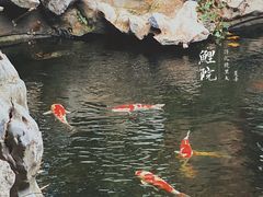 -鲤院·新中式美学·庭院餐厅(夫子庙店)