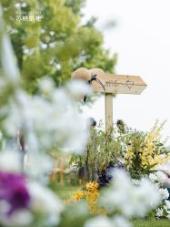 -Sugar苏格婚礼策划工作室