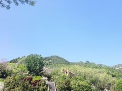 -黄花溪