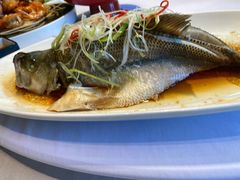 -鱼翅楼·津派砂锅鱼翅(水上公园店)