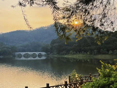 -番禺大夫山森林公园