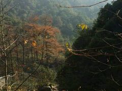 -大明山自然探索公园