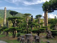-深圳仙湖植物园