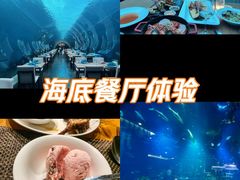 -海棠湾洲际-涛·海底餐厅·美人鱼·自助餐·海底隧道