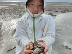 -红树林天天赶海