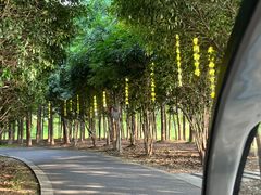 -苏州太湖国家湿地公园