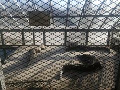 -秦皇岛野生动物园