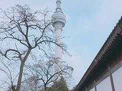 -龟山风景区-龟山电视塔