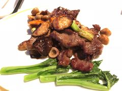-金轩中餐厅 Jin Xuan(浦东丽思卡尔顿酒店)