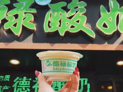 -德禄酸奶(莫家街店)