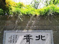 -杭州半山国家森林公园