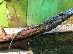-上海大自然野生昆虫馆