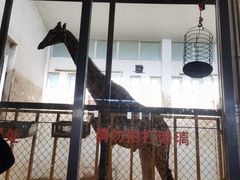 -大青山野生动物园