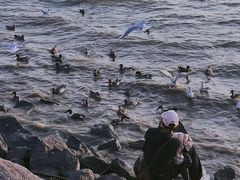 -深圳湾公园(南山区)