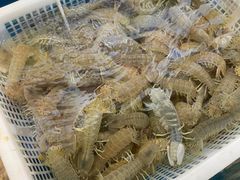 -威海九禧海鲜居渔水饺(经区店)