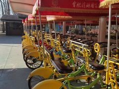 -合肥滨湖国家森林公园