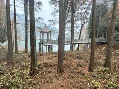 -四明山国家森林公园