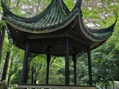 -苏州大学(天赐庄校区)