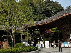 -东明山森林公园
