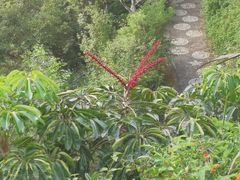 -仙岳公园