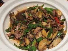 -宋小谨(惠安禹洲店)