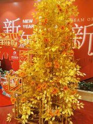 点击看大图 -昆明梦想医疗美容医院