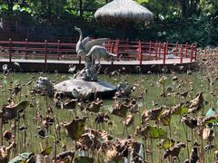 -珠海圆明新园
