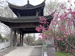 -梁鸿国家湿地公园