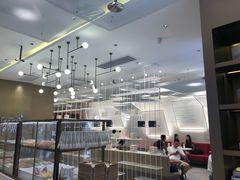 -奈雪的茶(华侨城创意园店)
