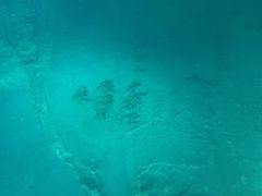 -白鹤梁水下博物馆