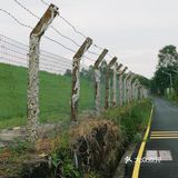 马峦北路.深圳又一条小众的日系片公路！