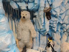 -济州岛泰迪熊博物馆