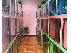 -宠匠·爱宠堡 PET CASTLE