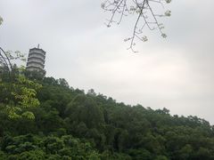 -深圳国际园林花卉博览园