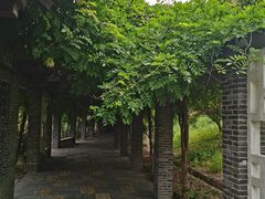 -龙寺生态园