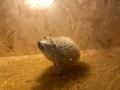 -开心果牛扒城(雍华庭店)