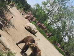 -沈阳森林动物园