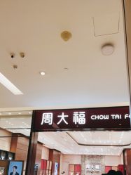 -周大福CHOW TAI FOOK(金光华广场店)