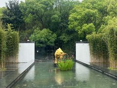 -金鸡湖景区