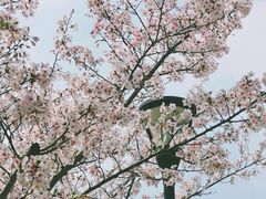 -上海山野camping·户外天幕烧烤·团建拓展营地