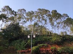 -林丰温泉度假山庄